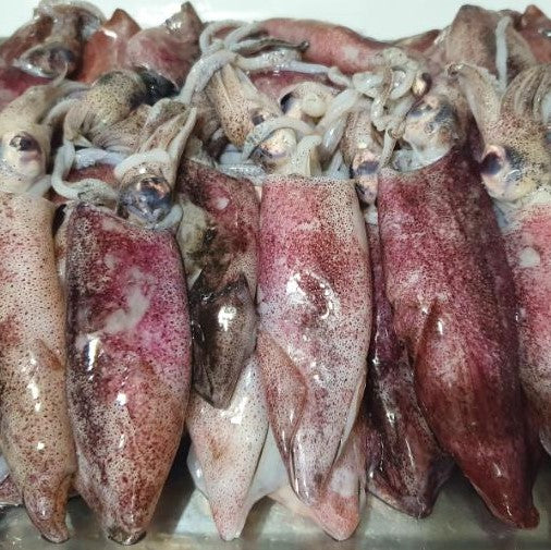 Pusit (Squid) Adobo - 1kg