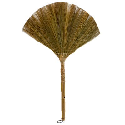Plain broom (walis)