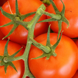 Tomato (Whopper) - 500g