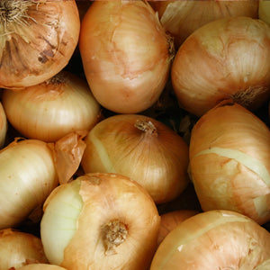 Onion White - 500g