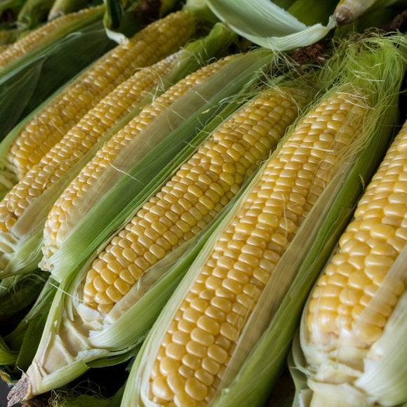 Corn - 1kg