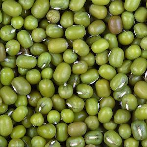 Monggo Beans - 250 g